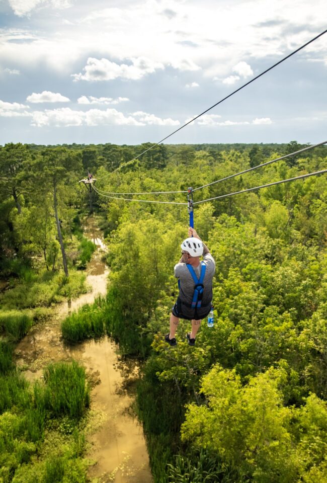 New Orleans Swamp Zip Line