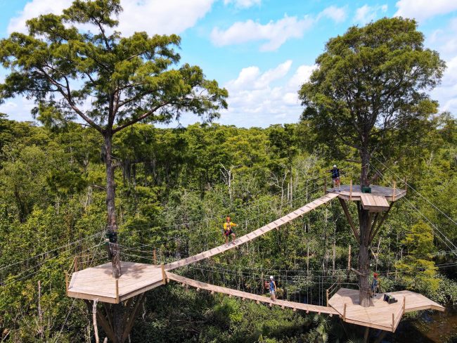 new orleans swamp zipline platforms