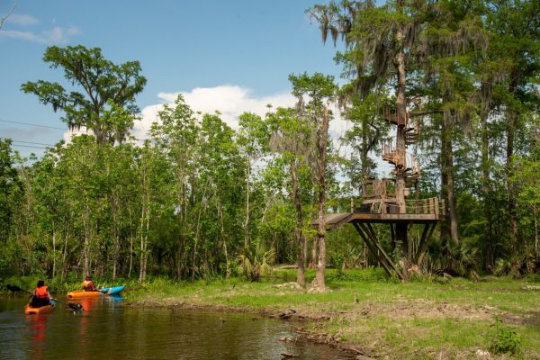 new orleans swamp kayak tour 12