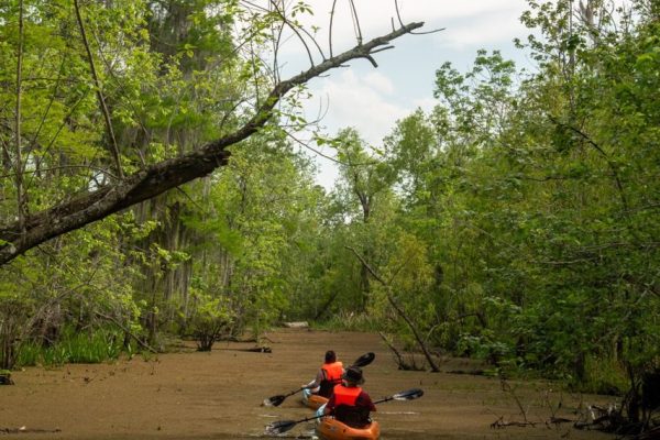 new orleans swamp kayak tour 2