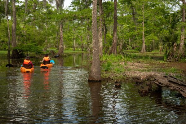 new orleans swamp kayak tour 5